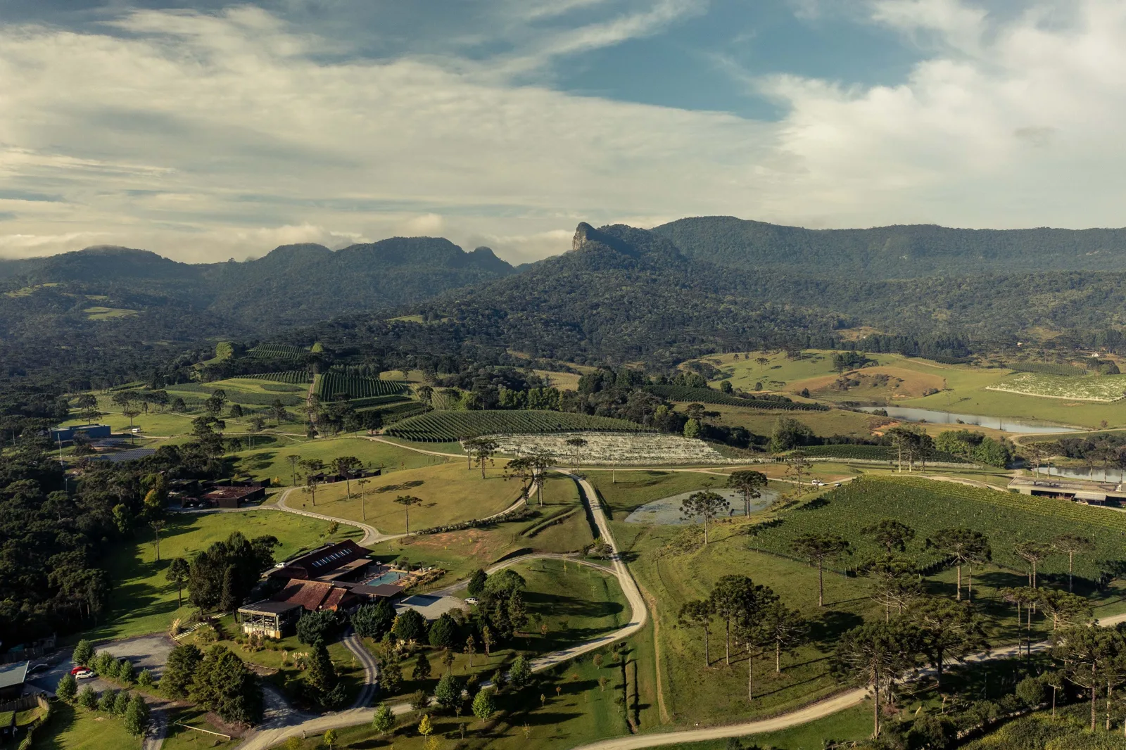 Vinícola Thera e vinhedos, vista aérea